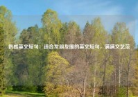 伤感英文短句：适合发朋友圈的英文短句，满满文艺范