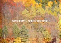 伤感分手短句（ 分手后还能做朋友吗）