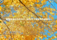 爱情里最扎心的句子（那些关于爱情的伤感短句）