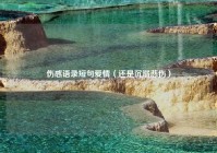 伤感语录短句爱情（还是沉溺悲伤）