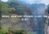 晚风拂过，回忆留下的疤（折中的选项，让人迷茫，你要站一边）