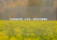 失恋伤感文案：分手后，这些句子最懂你