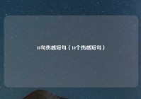 10句伤感短句（10个伤感短句）