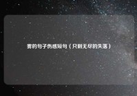 雾的句子伤感短句（只剩无尽的失落）
