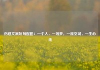 伤感文案短句配图：一个人，一场梦，一座空城，一生心疼
