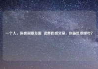 一个人，深夜刷朋友圈  这些伤感文案，你最想发哪句？