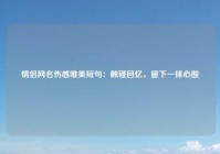 情侣网名伤感唯美短句：触碰回忆，留下一抹心酸