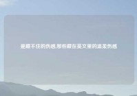 是藏不住的伤感,那些藏在英文里的温柔伤感