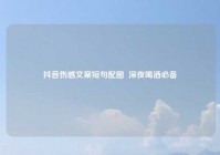 抖音伤感文案短句配图  深夜喝酒必备