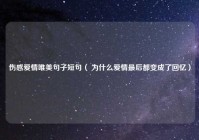 伤感爱情唯美句子短句（ 为什么爱情最后都变成了回忆）