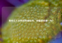 那些让人心碎的伤感短句，你最喜欢哪一句？
