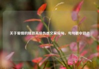 关于爱情的精致高级伤感文案短句，句句戳中泪点