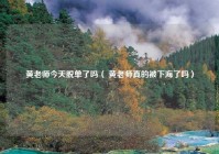 黄老师今天脱单了吗（ 黄老师真的被下海了吗）