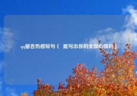 qq留言伤感短句（  能写出你的全部心情吗）