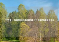 下雪天，你最想做的事情是什么？是看雪还是想念？