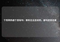 个性网伤感个签短句：那些无法言说的，都写进签名里