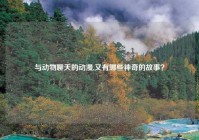 与动物聊天的动漫,又有哪些神奇的故事？