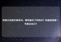 网易云伤感文案短句，哪些戳中了你的心？你最想用哪一句表达自己？
