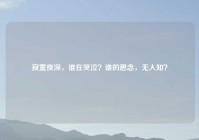 寂寞夜深，谁在哭泣？谁的思念，无人知？