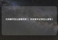 方舟聊天怎么查看历史（  历史聊天记录怎么查看）