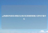 qq伤感短句说说,你看过让你记忆深刻的很感人的句子是什么