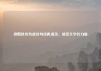 收藏这些伤感诗句经典语录，感受文字的力量