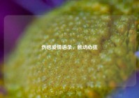 伤感爱情语录，触动心弦
