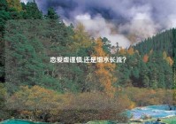 恋爱虚谨慎,还是细水长流？
