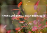 和男朋友在元旦脱单的文案,让你在工作和爱情之间选一个