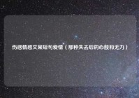 伤感情感文案短句爱情（那种失去后的心酸和无力）