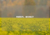 伤感短句，谁在难过？