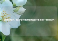 偶像恋爱奶,  现实中的偶像恋爱真的像剧里一样美好吗