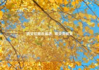 搞笑结婚祝福语,  谁负责搞笑