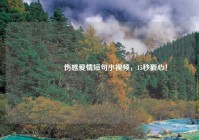 💔 伤感爱情短句小视频，15秒戳心！