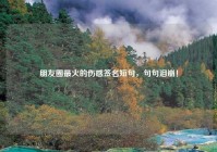 朋友圈最火的伤感签名短句，句句泪崩！