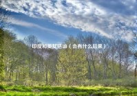 印度和美女搭讪（会有什么后果）