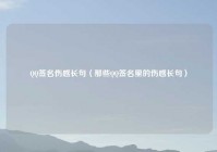 QQ签名伤感长句（那些QQ签名里的伤感长句）