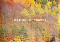 俄罗斯vk聊天（怎么才能玩转它）