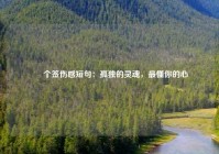 ✨  个签伤感短句：孤独的灵魂，最懂你的心