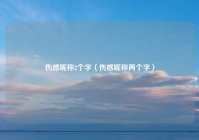 伤感昵称2个字（伤感昵称两个字）