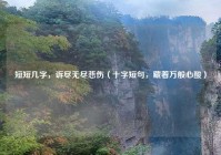 短短几字，诉尽无尽悲伤（十字短句，藏着万般心酸）