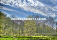 恋爱吗我请你,你愿意接受我的邀请吗？