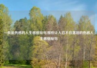 一些很伤感的人生感悟短句,那些让人忍不住落泪的伤感人生感悟短句