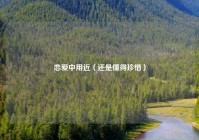 恋爱中用近（还是懂得珍惜）