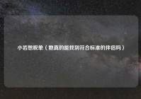 小岩想脱单（她真的能找到符合标准的伴侣吗）