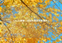 hellotalk聊骚（找到外国伴友靠谱吗）