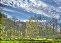 过年不能脱单吗,你打算怎么脱单