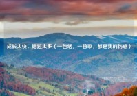 成长太快，错过太多（一包烟，一首歌，都是我的伤感）