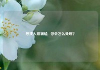 想找人聊骚磕,  你会怎么处理？