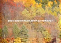 伤感说说短句经典语录,那些伤感又经典的句子